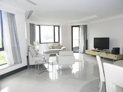 Luxury bright 3BR apartment for rent in Belgravia in French C