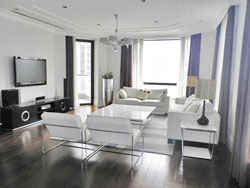 Luxury high floor renovated apartment with floor heating in c