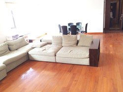 Big and bright apartment in Lakeville in Xintiandi for rent
