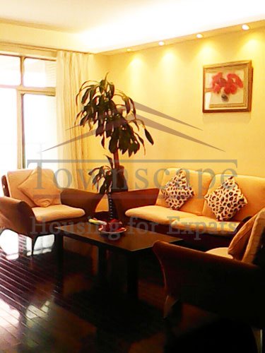 luxury apartment to rent in ladoll Fully furnished apartment for rent in Ladoll near Nenjing West road