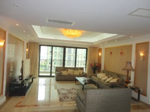 Big and luxurious 5br apartment with office