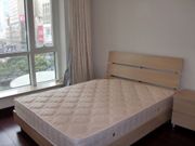 picture 3 Central Park apt in Xin Tian Di for rent