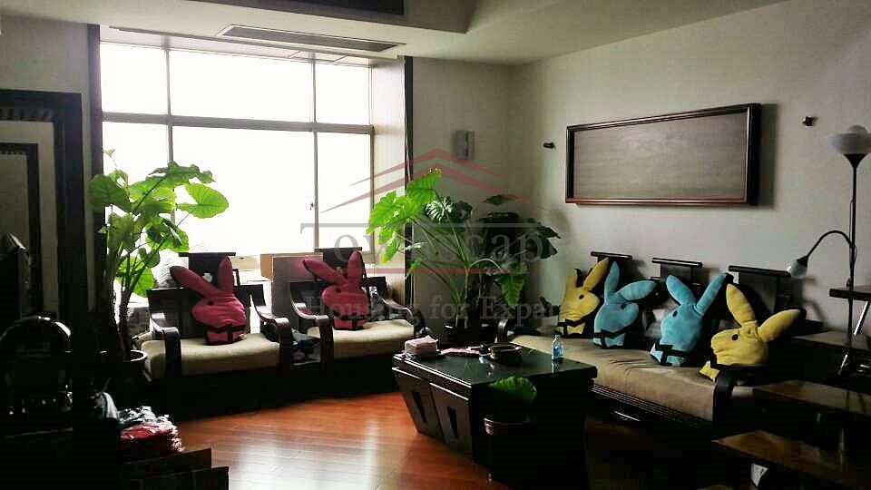 Duplex apartment with roof Terrace in Pudong