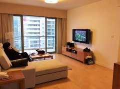 Elegant 3BR Service Apartment at Century Park and Shanghai Sc