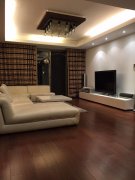 Modern, Luxurious Apartment Close to L1, L11 in Xujiahui