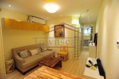 Elegant and Cozy 1BR Apartment in Downtown Shanghai