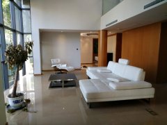 Modern Villa with private pool in Hongqiao