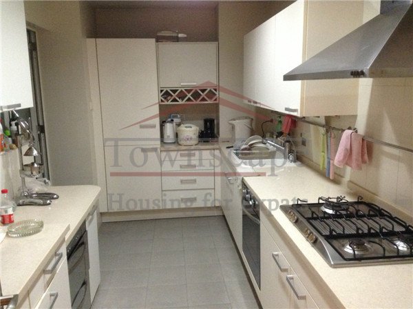  3 BR Central Park apt in Xintiandi near people square