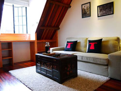 French Concession terrace stylish beautiful apartment 2 br 2 