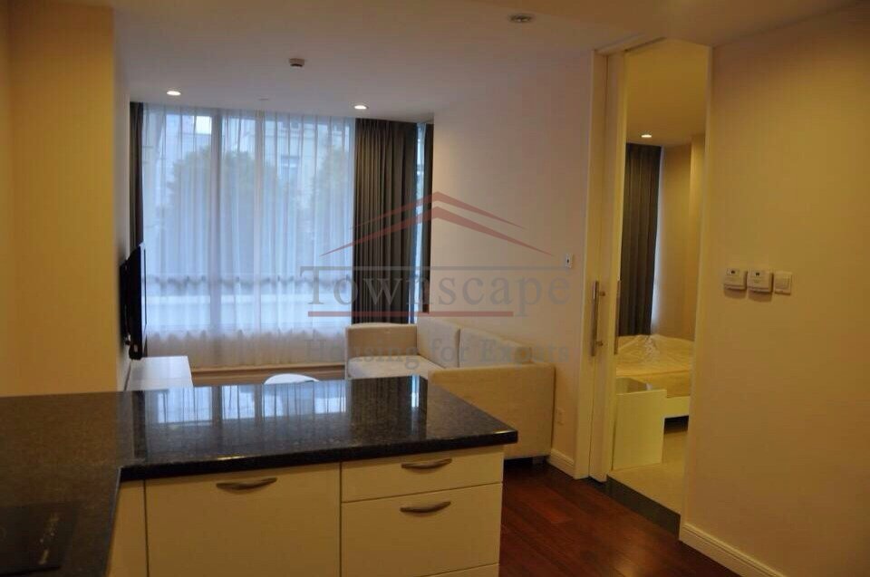  modern 1 BR in People Square