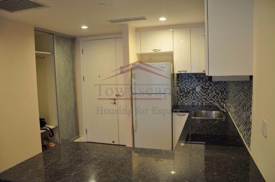  modern 1 BR in People Square