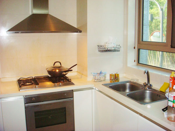  Apartment with terrace for rent in Pudong near Century Park
