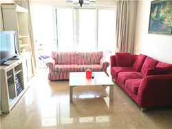 Central park apartment for rent in Xintiandi near french conc