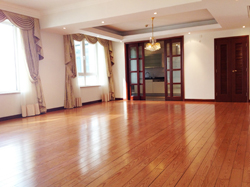 Unfurnished Skyline mansion for rent in pudong with river vie