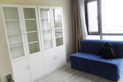 lujiazui central apartmnet for rent in Pudong