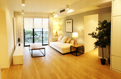 Haisi apartment for rent near jiao tong university