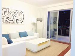  Lujiazui Central Apartment for rent in Century Park area nea