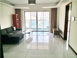 4 BR Crystal Pavilion apartment for rent near Nanjing west ro