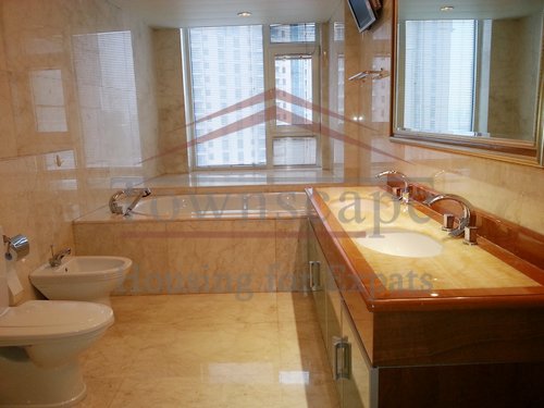 shanghai pudong apartments rental River view apartment in Skyline Mansion in Pudnog
