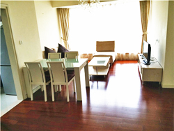 Bright apartment for rent in Pudong near Century Park
