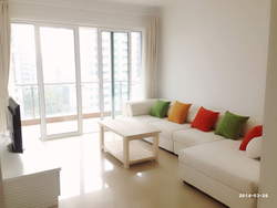 Beautiful apartment for rent in pudong near Shanghai Science 