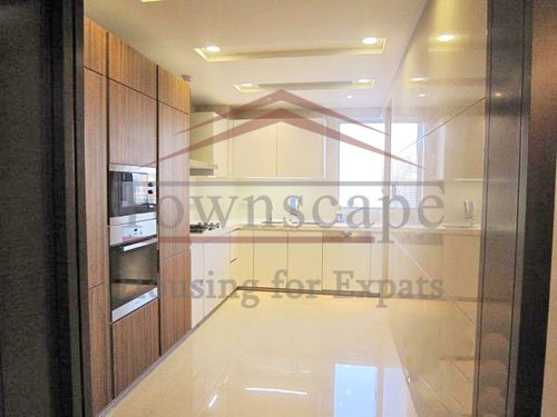 the palace for rent Brand new apartment with floor heating for rent in French concession