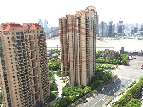 shanghai apartments in pudong for rent High floor recently renovated Skyline Mansion in Pudong