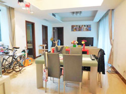 High floor renovated apartment for rent in the center of Shan