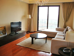 Nice bright and cozy apartment for rent in Pudong
