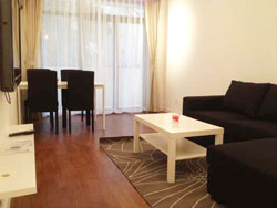 Cozy apartment for rent in the center of French Concession
