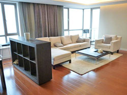 Nice view Lakeville apartment for rent in Xintiandi