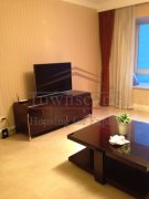 high quality apartment shanghai City Castle comfortable and cosy high level apartment