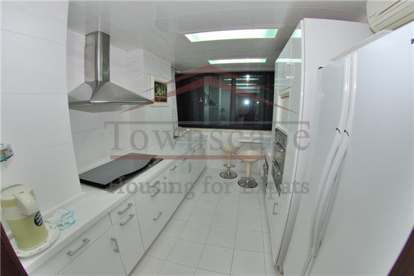 xujiahui rentals 2 level modern apartment for rent in Xujiahui