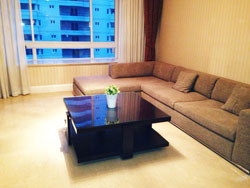 Renovated apartment for rent near West Nanjing road