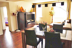 Nicely furnished and bright apartment for rent near Zhongshan