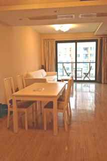 rent apartment shanghai Executive apartment with balcony in Territory Shanghai - Jing