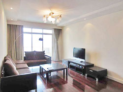 Bright apartment for rent in Jingan Temple area