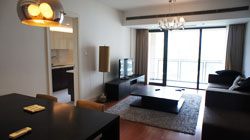 Renovated Casa Lakeville apartment for rent in Xintiandi