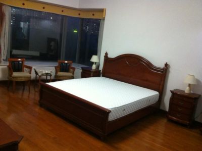 Renting serviced apartment shanghai pudong century avenue Family apartment with garden view in Pudong