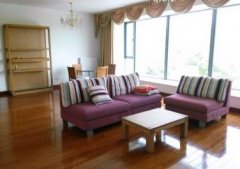 Spacious & bright family apartment in Pudong area