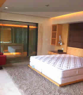 top-level apartment shanghai Top end apartment for rent in xintiandi shanghai-executive perfect choice