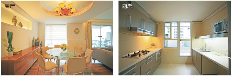 number 1 agency in shanghai Duplex in the top floor in Pudong Area close to Century Park
