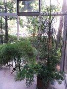 Wintergarten Tomson Garden Spacious 3BR Townhouse in Tomson Garden, green environment, Pudong