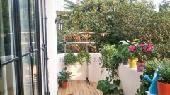 Shanghai green apartment Sunny 3br apartment with green environment in French Concession