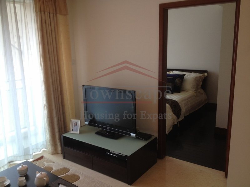 shanghai apartment near people\s square Luxury single bedroom apartment on West Nanjing road
