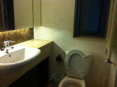 shanghai luxury apartment to rent Elegant 2br apartment near Xujiahui; metro lines 1, 9 and 11