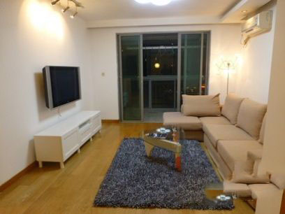 Shanghai house for rent Well Priced 2 Bedroom Apartment 2 mins from West Nanjing Road L2
