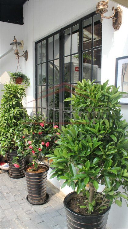 french concession apartment Excellent Lane House w/ Garden&Floor heating Metro Line 1