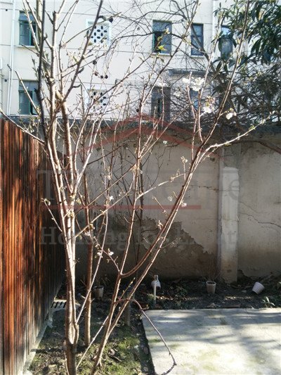 rent house in shanghai Fantastic 3 BR Lane House w/ garden South Shanxi Rd