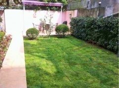 lane house w/garden Classy 2 Bed Lane House for rent in French Concession /w private garden